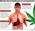 /album/fotogaleria/marihuana-y-corazon-jpg/